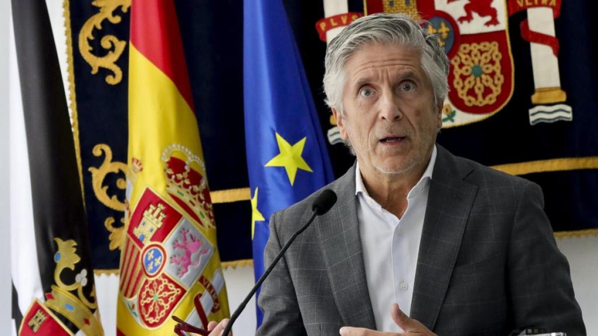 Estupor en la RFEF ante las palabras del Marlaska: "No podemos jugar con un informe policial en contra"