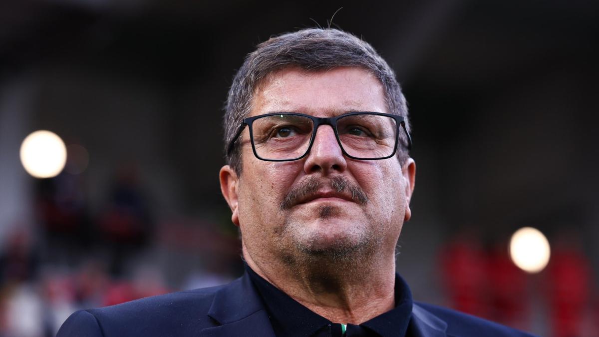 Silvio Baldini, la solución (provisional) de Italia