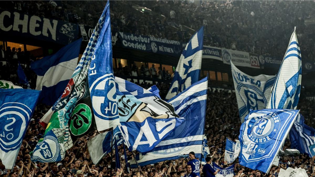 ¡El Schalke vuelve a la Bundesliga!