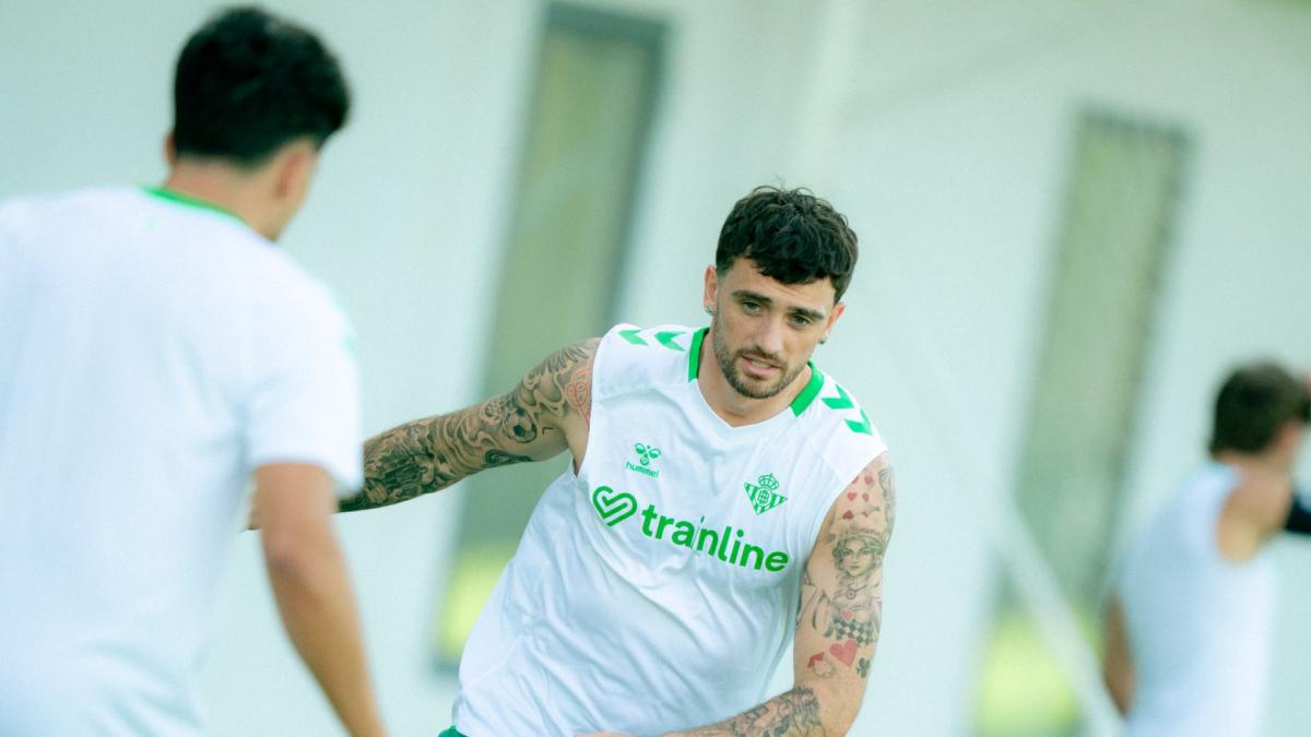 Troy Parrott, principal novedad en la lista de Pellegrini frente al Valencia