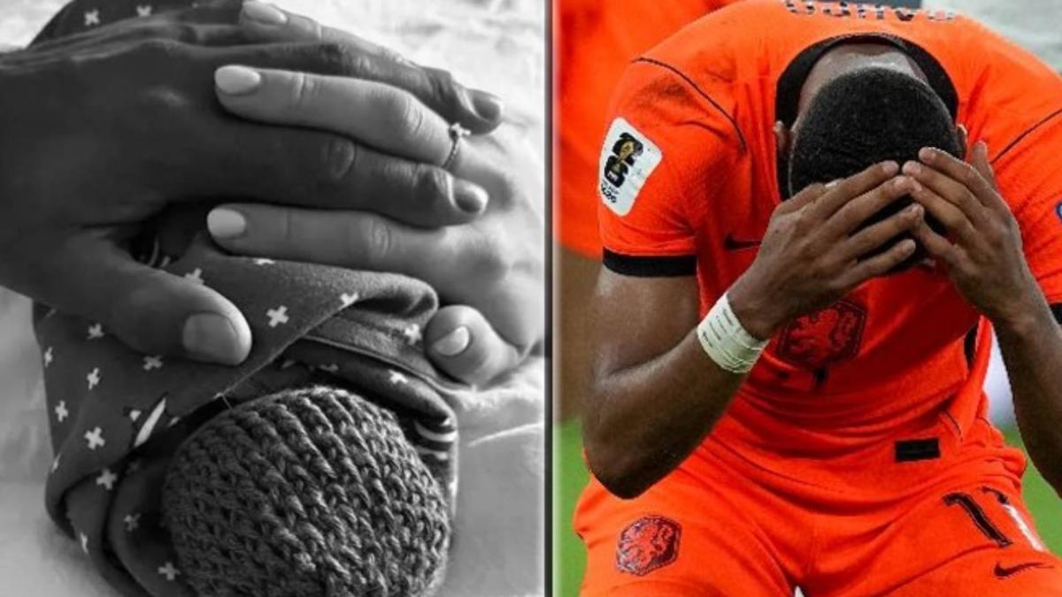 Gakpo mete el gol más emocionante del Mundial: lágrimas en memoria de su bebé fallecido